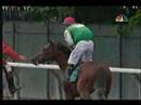 Afleet Alex Belmont Stakes 2005 - amazing kick in the end!