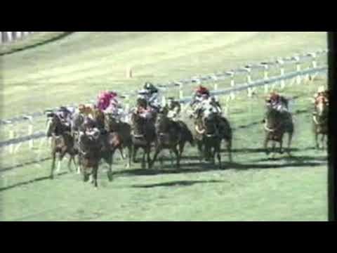 1991 Fourex Cup - Rough Habit