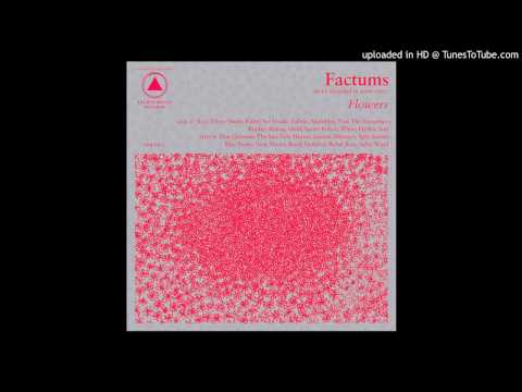 factums - see inside