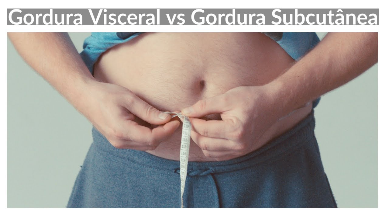 Diferença entre GORDURA VISCERAL e GORDURA SUBCUTANEA
