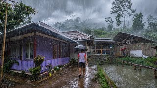 Download lagu Akhirnya Hujan Deras Turun di Kampung‼️🌧️ Ademnya Bikin Rindu & Betah, Semoga Segera Hujan Juga Ya mp3