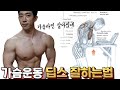 딥스 이렇게 하면.. 가슴라인이 확 달라집니다