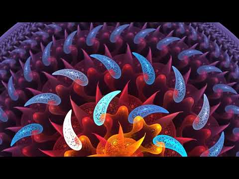 FUTURE RAVE 2022 ⚡️ February - mix show 55