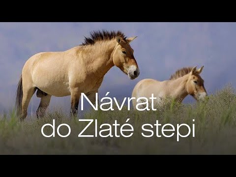 Návrat do Zlaté stepi