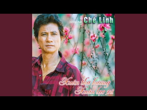 Thể hiện bởi Chế Linh