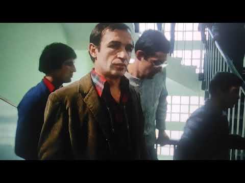 Ljupče ti znaš ... "Specijalno vaspitanje"