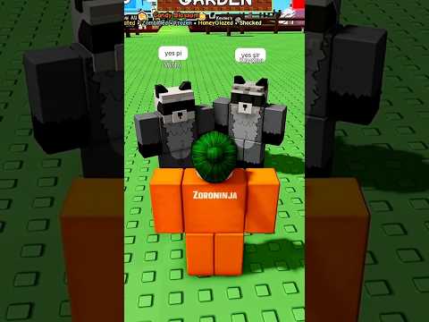 Rarest raccoons in Grow A Garden 😂🤣