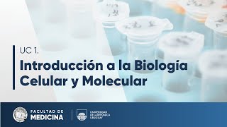 Bienvenida a la generación 2025 - CICS-IBCM