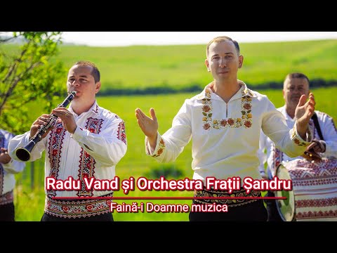 Faina-i Doamne muzica - Radu Vand si Orchestra Fratii Sandru