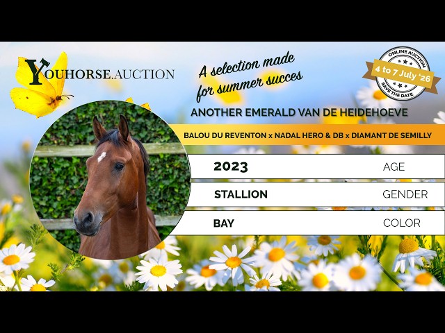 Another Emerald van de Heidehoeve