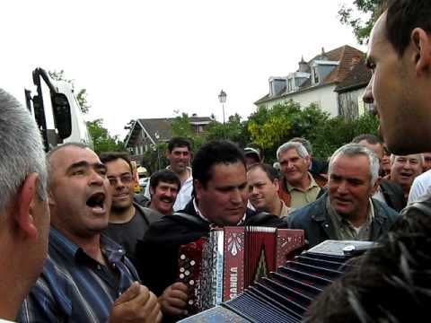 canatres ao desafio desgarrada 2