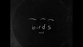 Sugar Cane Davis - birds (full album)