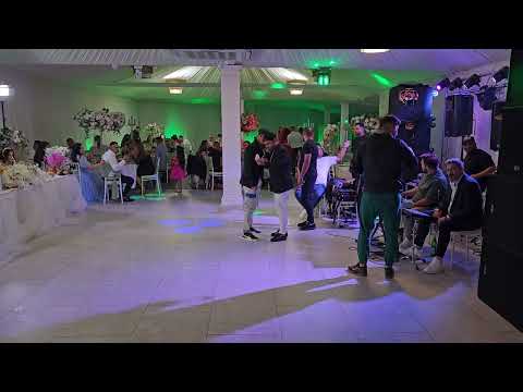 Sandel Piticu & Ork Vasile Pandelescu - Nunta Florin & Stefania, restaurant River, Londra, part 4