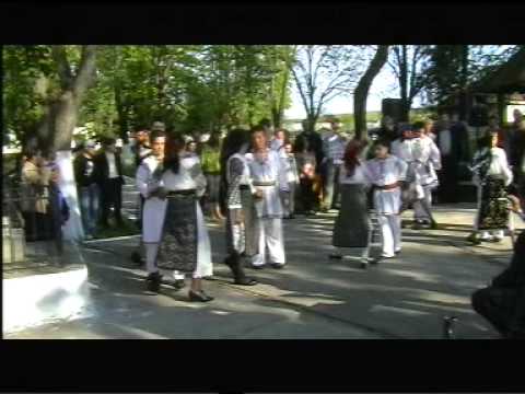 Ruga Fizes 2011  Ansamblul Salcia-Caras