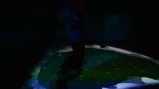 KC Zoo Penguins | LuminVision