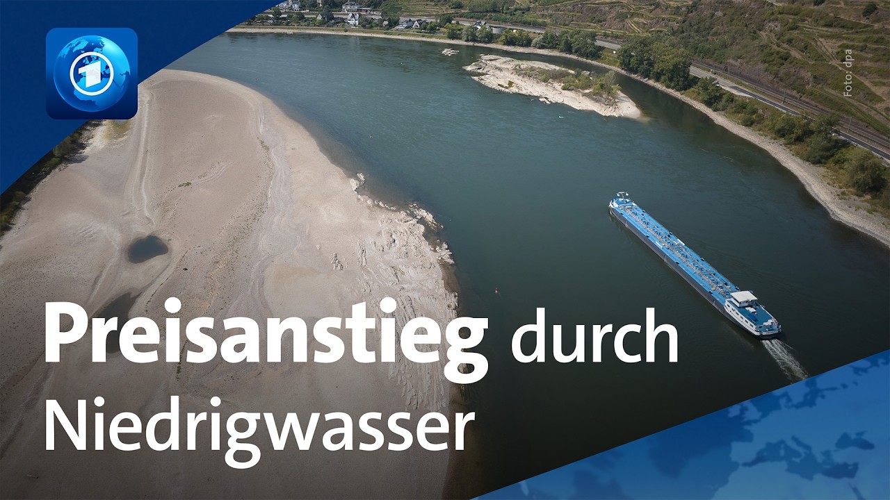 Sprit, Getreide, Pflanzenöl: Preisanstieg durch Niedrigwasser