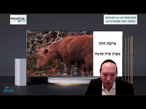 Rabbi Ikey Tawil - Missva - Hukat: "Para Aduma"