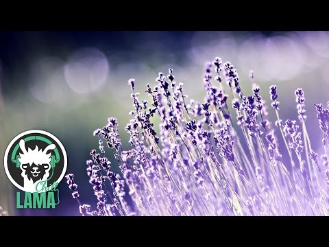 Amethystium - Ethereal | Best Relaxing Electronic Music