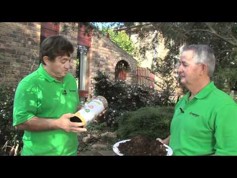 The Worm Factory .mp4