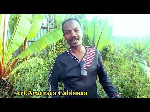 Araarsaa Gabbisaa-Birraa-new 2022
