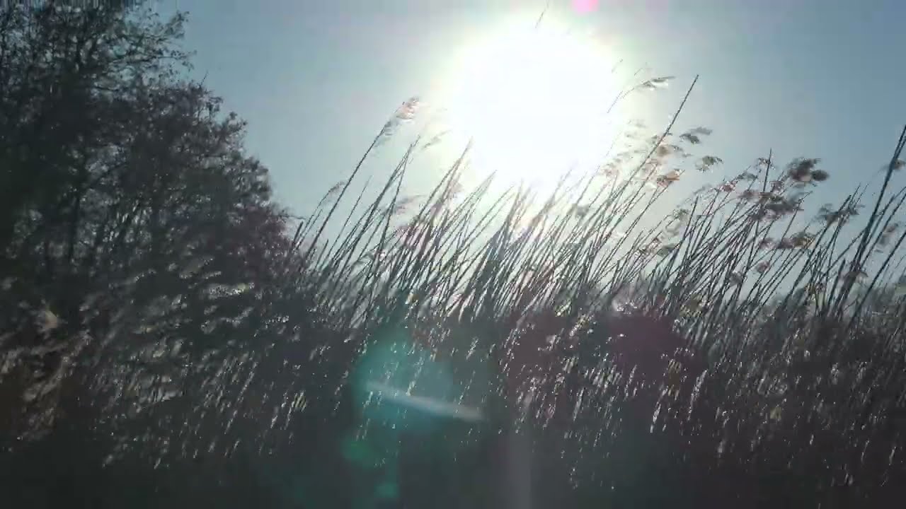 Amsterdamse Bos 180325