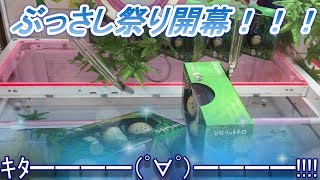 ぶっ刺しで持ち上げる！！となりのトトロ みんなでゆらゆら おきあがりこぼしをゲットしてみる