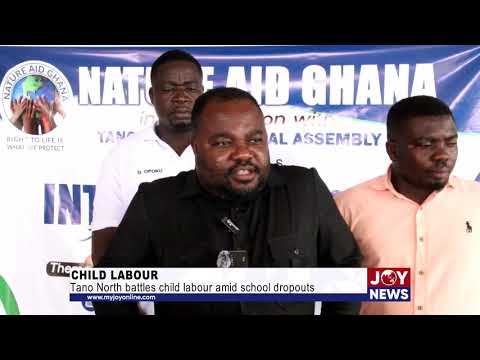 Child labour: Tano North battles child labour amid school dropouts.