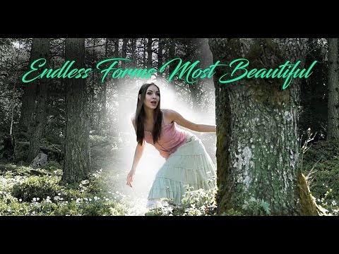 Nightwish - Endless Forms Most Beautiful (Cover by Minniva feat. Gisha Djordjevic)