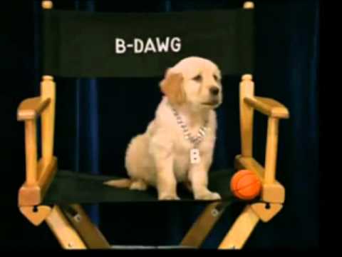 B-Dawg Ft. lovebud~ Airplanes