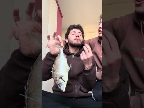 الي يخسر بيوكل فسيخ مصري !!