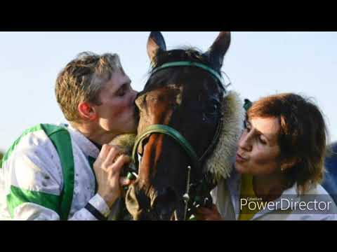 Pro vítěze 129. Velké Pardubické...Theophila