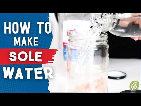How to Make Sole Water