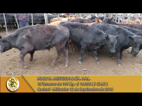 12-09-18 Venta de Machos - Hugo R. Aristegui y Cía. S.R.L. - Cacharí