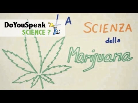 Da quello che può essere articolazioni negativi per le mani Da quello che il mal di schiena a 23 settimane di gestazione