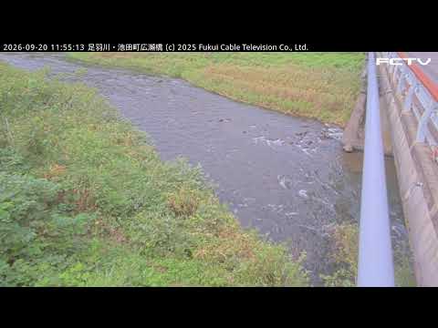 足羽川・池田町広瀬橋のライブカメラ映像