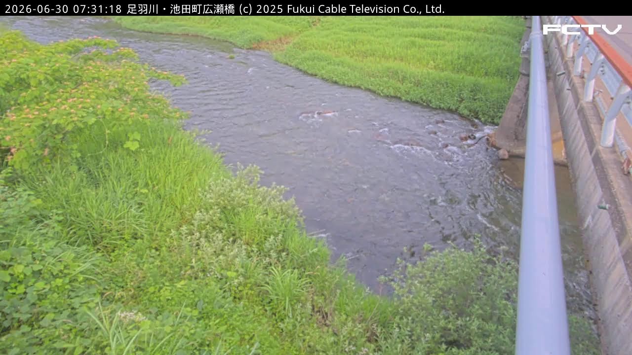 Live webcam view of Asuwa River at Hirosebashi Bridge