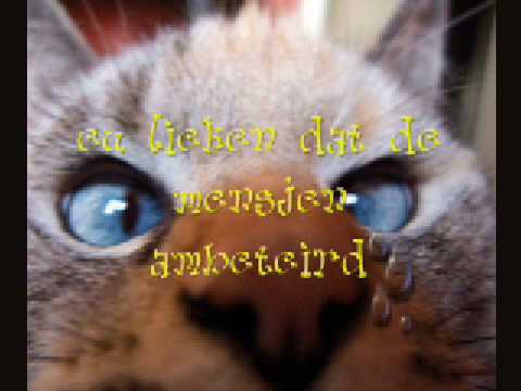 't ambetant lieken - d'ambetanterikken