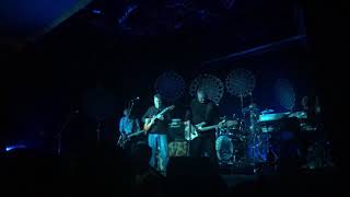 I’m Shakin, The Sunnyboys