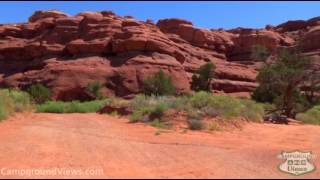 Canyonlands National Park Needles District Campground Video