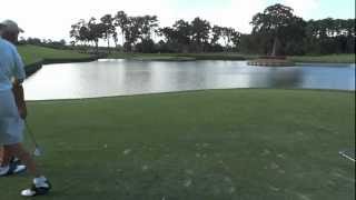preview picture of video 'TPC Sawgrass 17th hole'