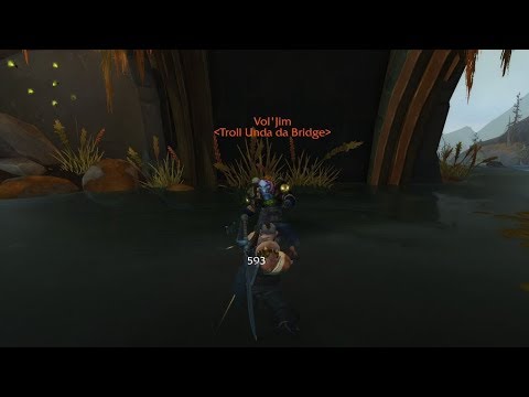 Vol'jin esta vivito y coleando bajo un puente en "Battle for Azeroth".