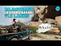 India’s No.1 Leopard Safari Region, Jawai At ₹1.2 Lakhs++ | WanderLuxe Ep 19 | Curly Tales