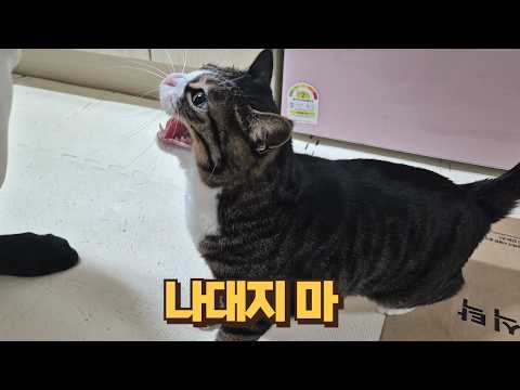 깝순이 한달 만에 와서 엄청 잘해줬는데 나대서 망했어요