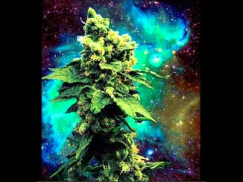 The Dsc ft Horace Ferguson - Sensi Addict