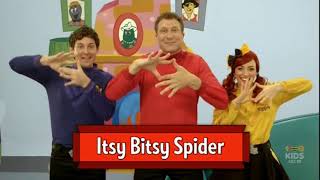 Itsy Bitsy Spider