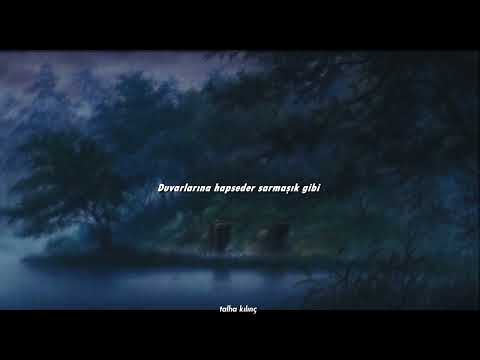 Mavi Gri - Aklımı Kaçırdım (Sözleri)