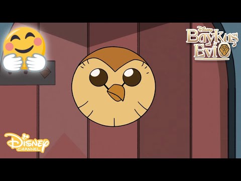 Baykuş Evi'ne Hoşgeldiniz🤗| Baykuş Evi | Disney Channel Türkiye