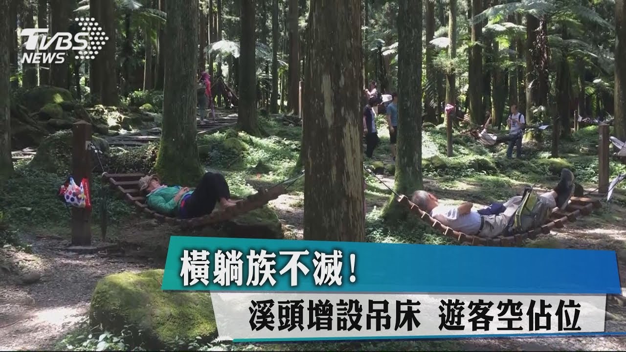 橫躺族不滅!溪頭增設吊床 遊客空佔位