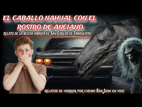 EL CABALLO NAHUAL CON ROSTRO DE ANCIANO / relato de la aterradora bestia de San Carlos Tamaulipas.