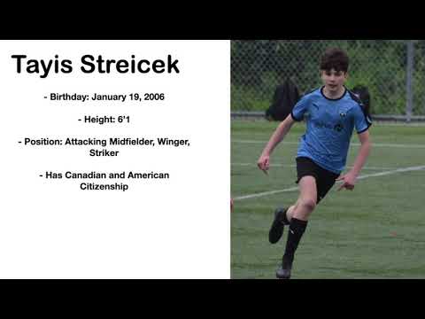 Tayis Streicek Highlight Video